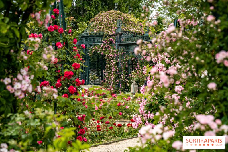 Rendez-vous aux Jardins 2025 : dates et thème de la prochaine édition à Paris et en Ile-de-France