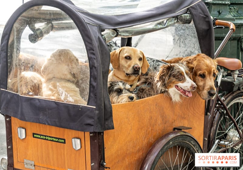 Expozoo – Paris Animal Show 2025 à la Porte de Versailles