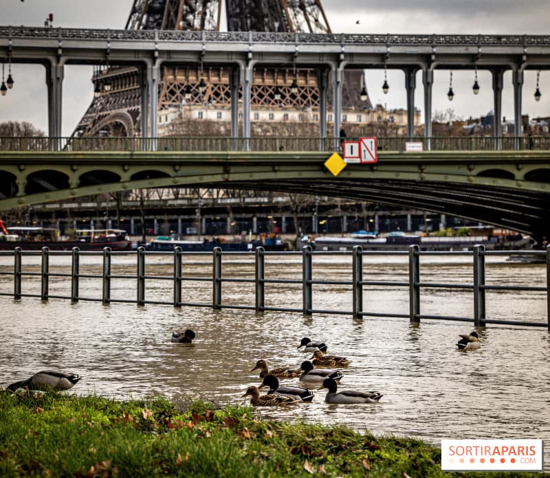 Crue : Paris, le Val d’Oise et les Yvelines en vigilance jaune, la Seine déborde !