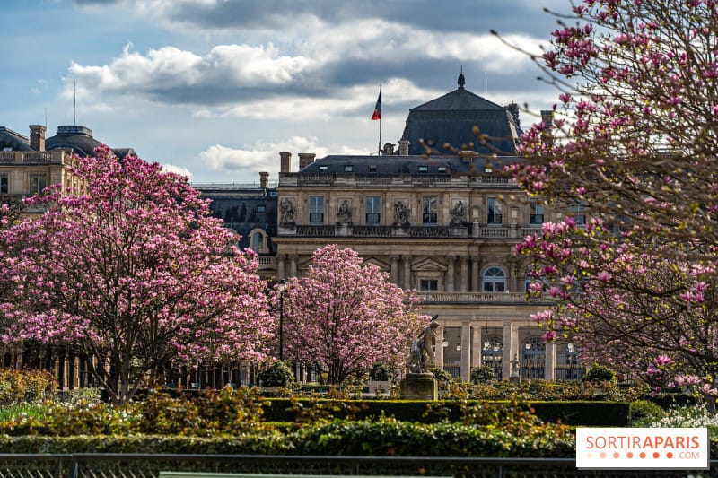 Que faire ce dimanche 19 mai 2024 à Paris et en Île de France