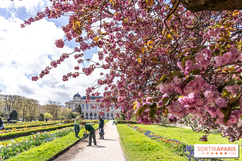 Bons plans du week-end de Pentecôte du 17 au 20 mai 2024 à Paris : sorties gratuites ou pas chères