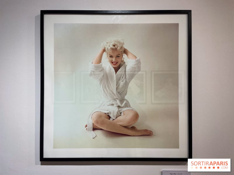 L'expérience Monroe : un parcours immersif sur Marilyn Monroe à la Galerie Joseph