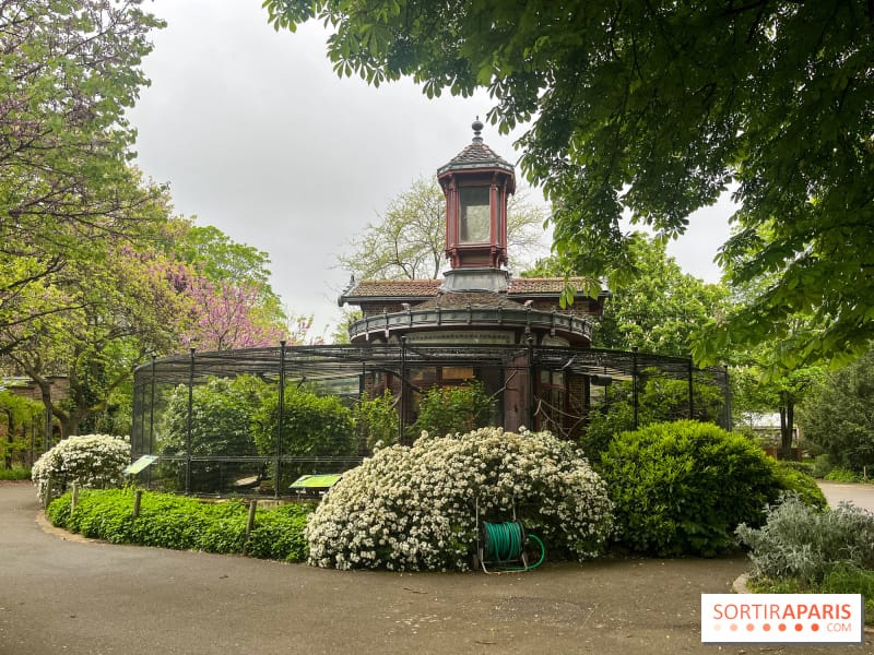 Que faire pendant les vacances de la Toussaint 2024 avec les enfants au Jardin des Plantes et au Muséum