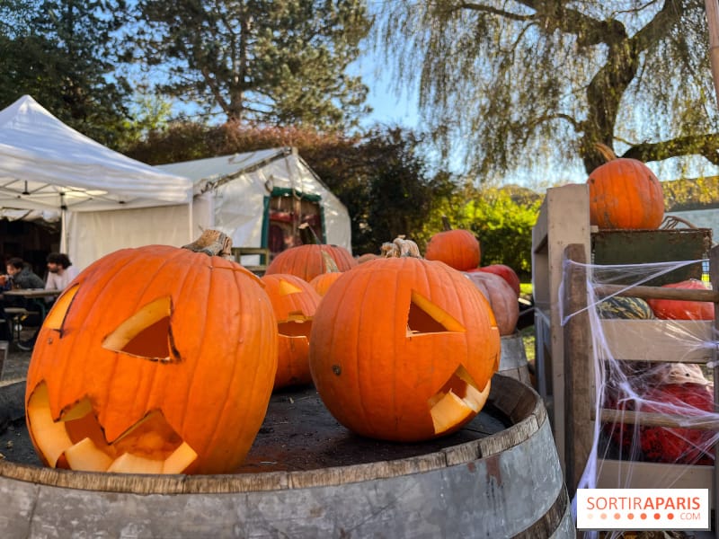 Halloween 2024 : participez à la Fête de la Citrouille dans les fermes de Gally